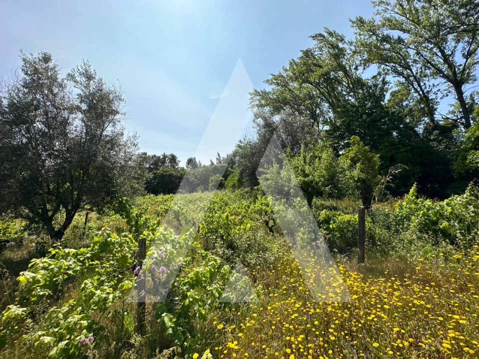 Terreno para Venda em Pussos São Pedro Foto 14