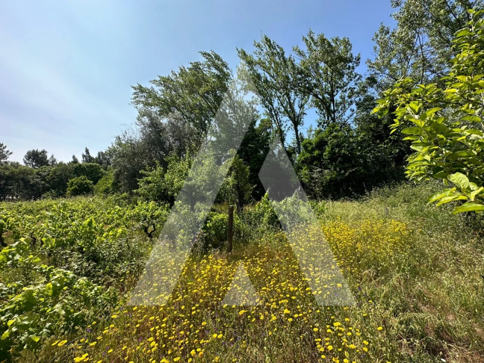 Terreno para Venda em Pussos São Pedro Foto 17