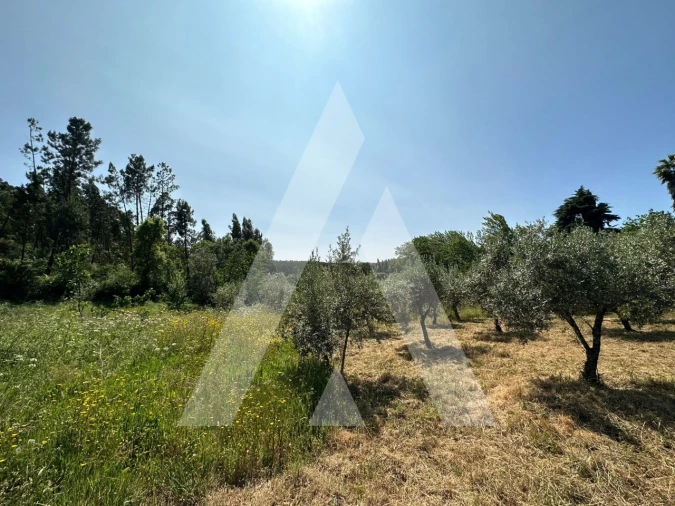 Terreno para Venda em Pussos São Pedro Foto 3