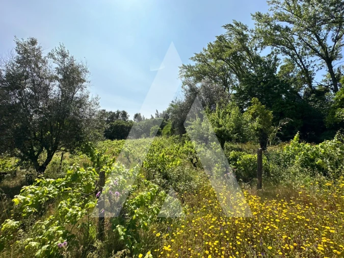 Terreno para Venda em Pussos São Pedro Foto 14