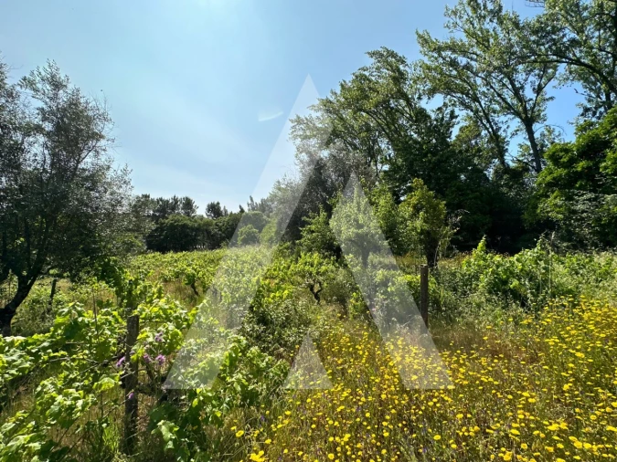 Terreno para Venda em Pussos São Pedro Foto 15