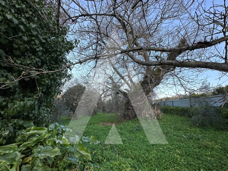 Terreno para Venda em Alvaiázere Foto 4