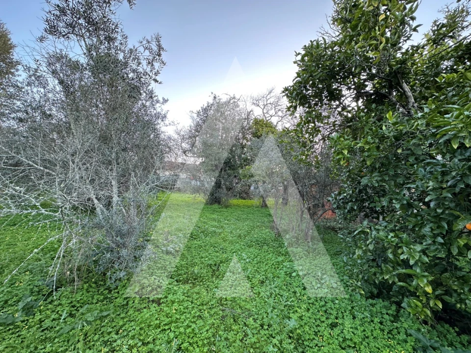 Terreno para Venda em Alvaiázere Foto 9