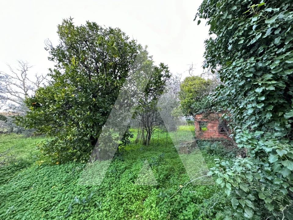 Terreno para Venda em Alvaiázere Foto 16