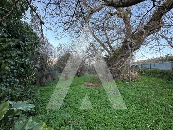 Terreno para Venda em Alvaiázere Foto 3