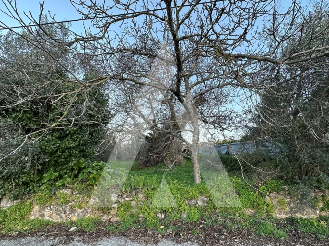 Terreno para Venda em Alvaiázere Foto 7