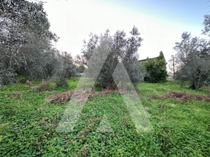 Terreno para Venda em Alvaiázere Foto 12