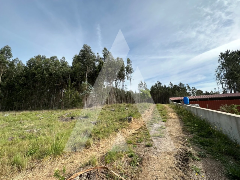 Terreno para Venda em Maçãs de D. Maria Foto 4