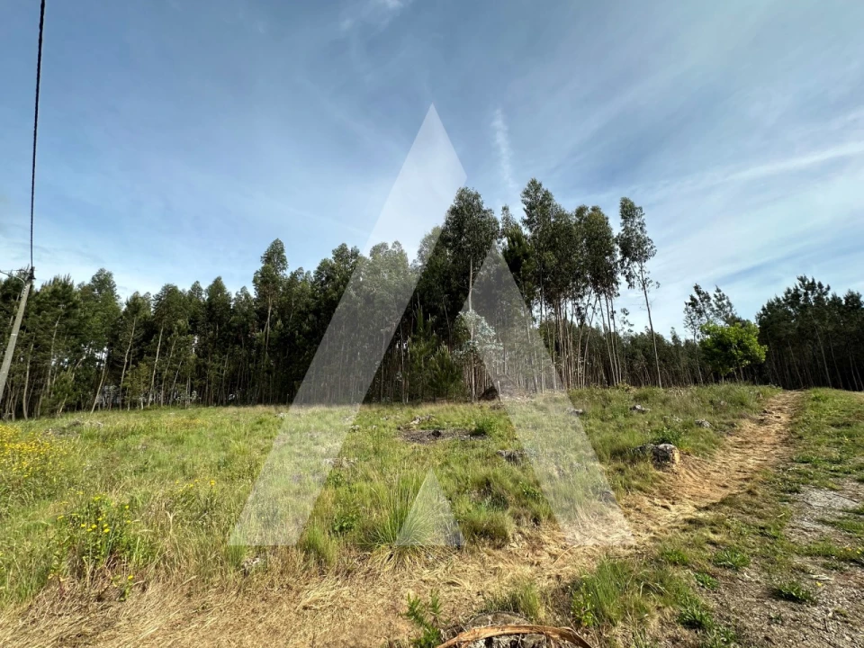 Terreno para Venda em Maçãs de D. Maria Foto 6