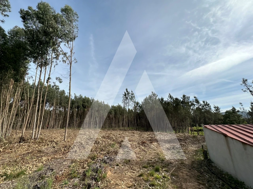 Terreno para Venda em Maçãs de D. Maria Foto 14
