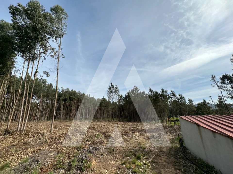 Terreno para Venda em Maçãs de D. Maria Foto 22