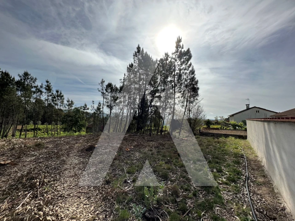 Terreno para Venda em Maçãs de D. Maria Foto 39