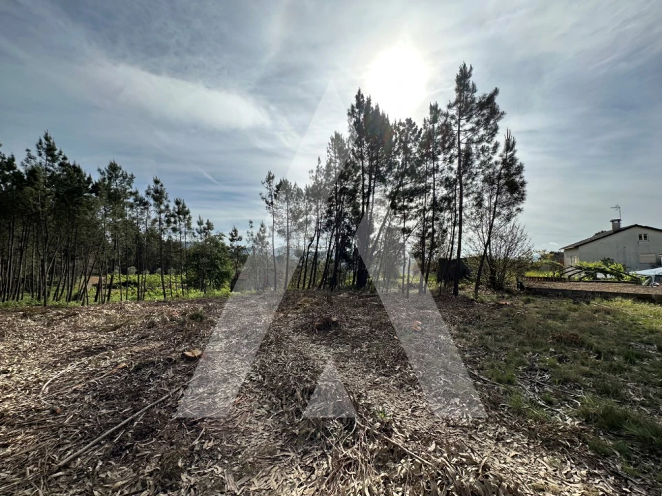 Terreno para Venda em Maçãs de D. Maria Foto 50