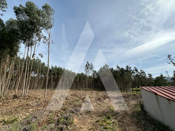 Terreno para Venda em Maçãs de D. Maria Foto 14