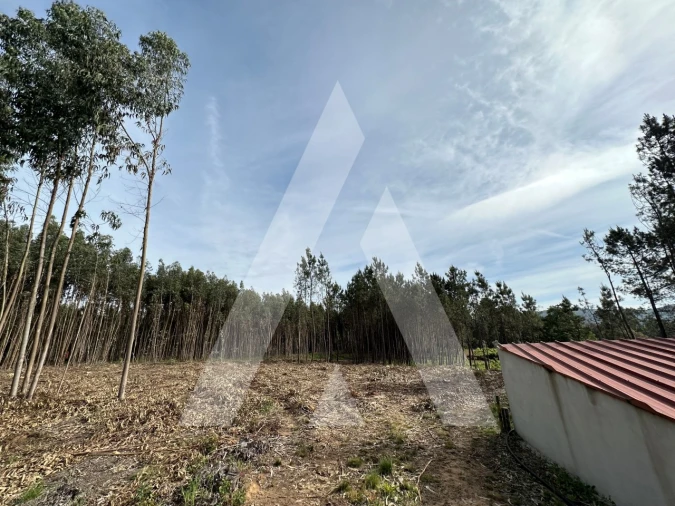 Terreno para Venda em Maçãs de D. Maria Foto 19