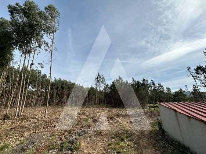 Terreno para Venda em Maçãs de D. Maria Foto 22