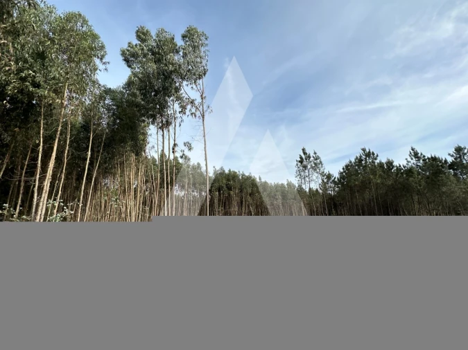 Terreno para Venda em Maçãs de D. Maria Foto 26