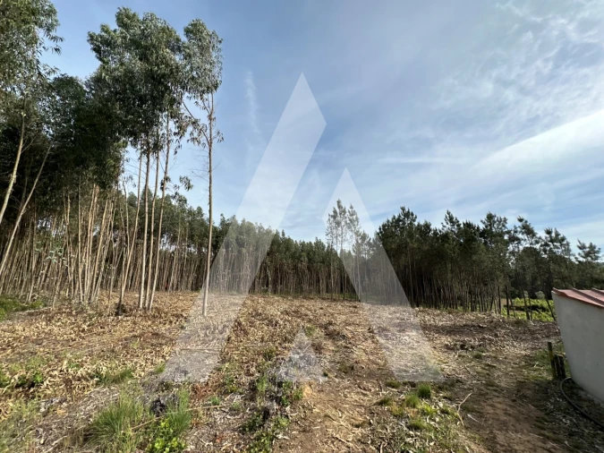 Terreno para Venda em Maçãs de D. Maria Foto 30