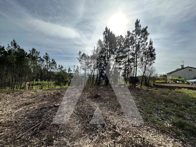 Terreno para Venda em Maçãs de D. Maria Foto 50