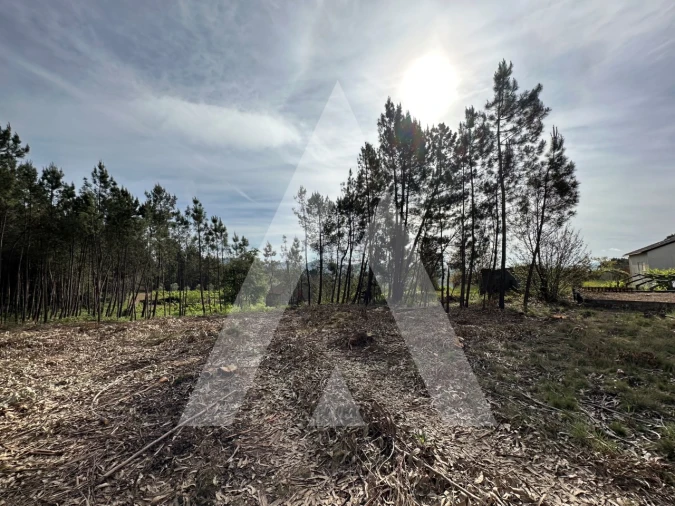 Terreno para Venda em Maçãs de D. Maria Foto 52