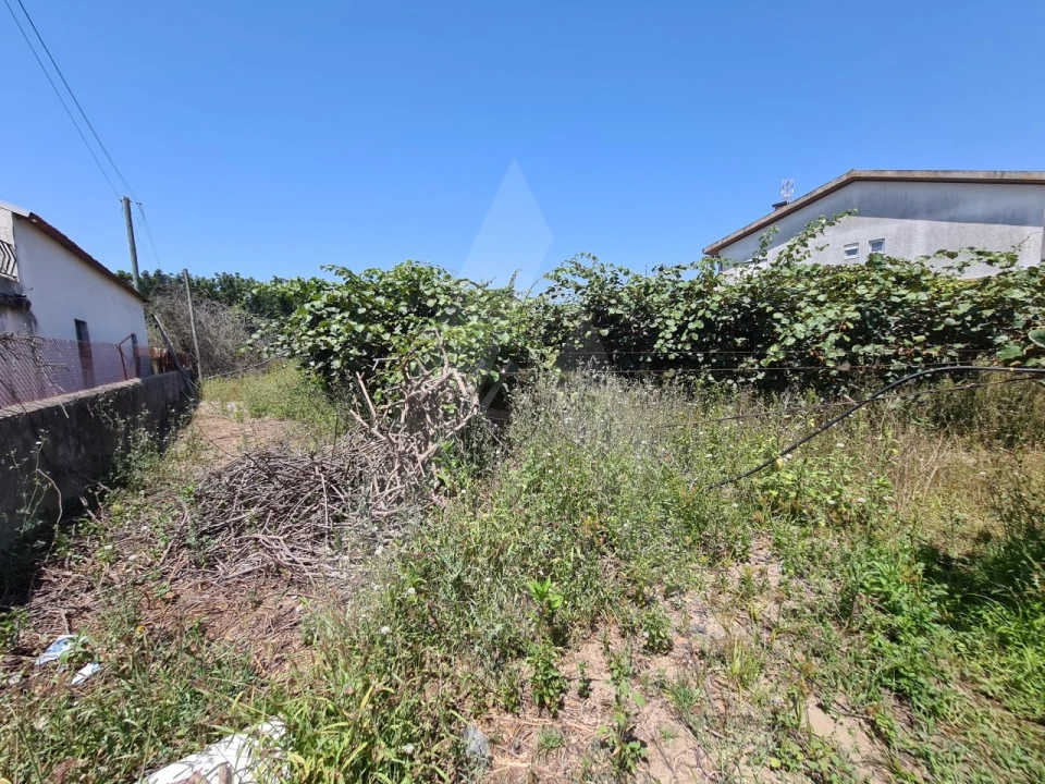Terreno para Venda em Bustos, Troviscal e Mamarrosa Foto 1