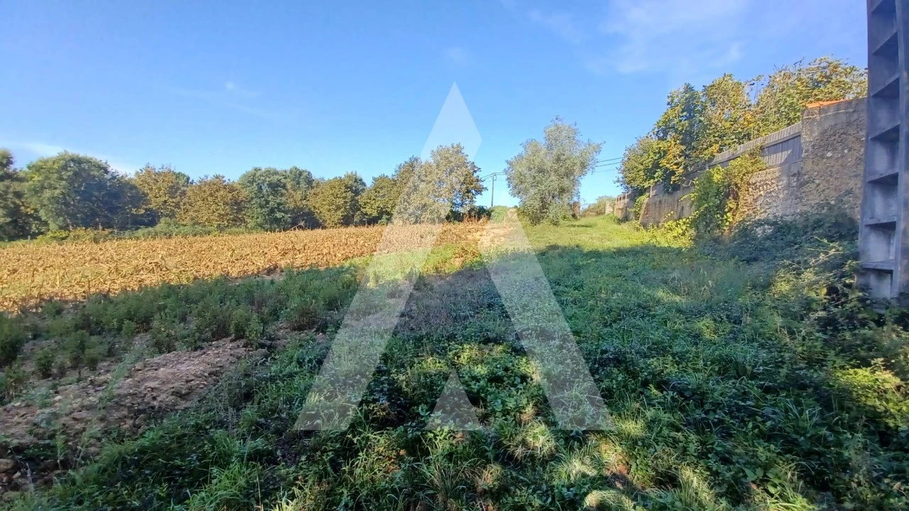 Terreno para Venda em Valongo do Vouga Foto 3