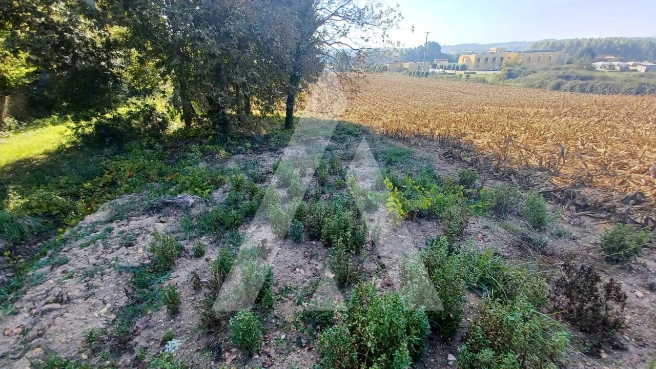 Terreno para Venda em Valongo do Vouga Foto 5