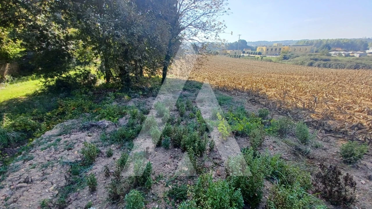 Terreno para Venda em Valongo do Vouga Foto 6