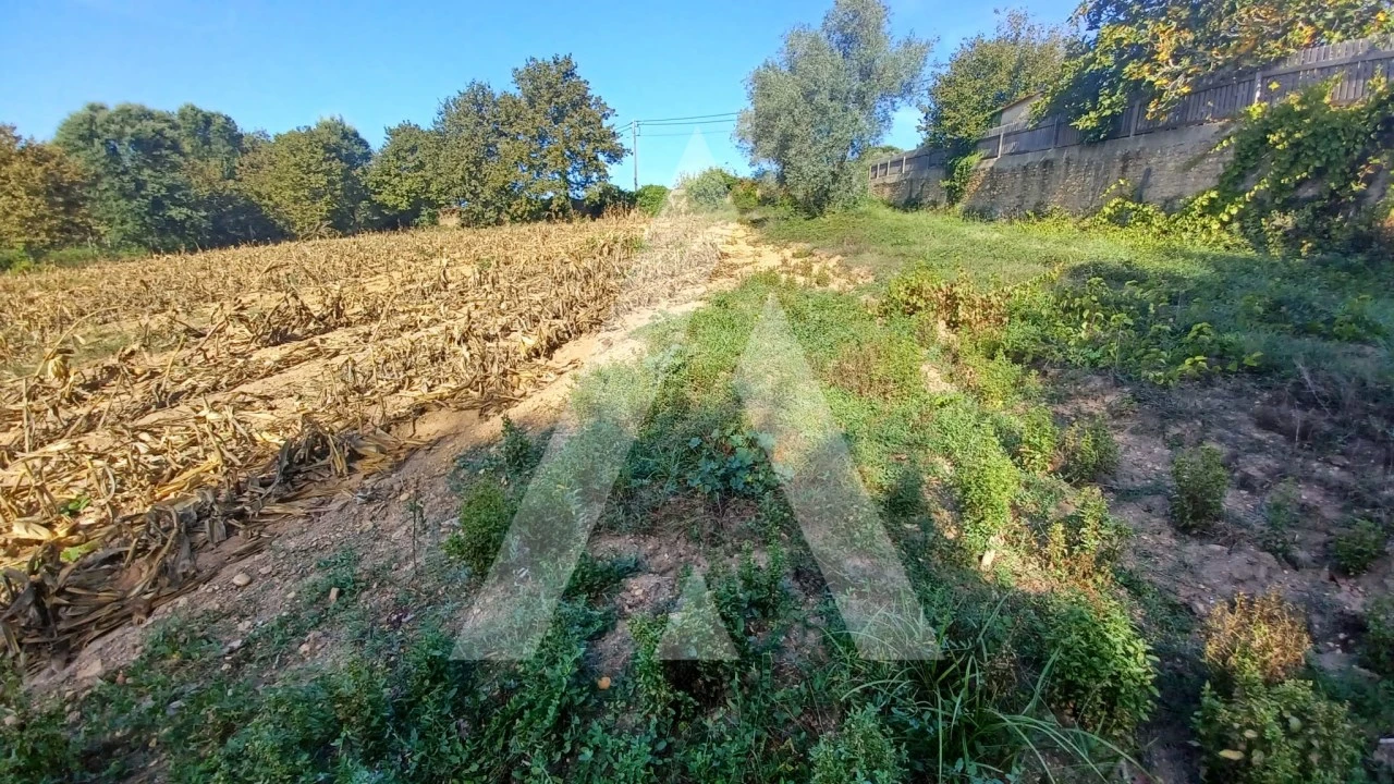 Terreno para Venda em Valongo do Vouga Foto 7
