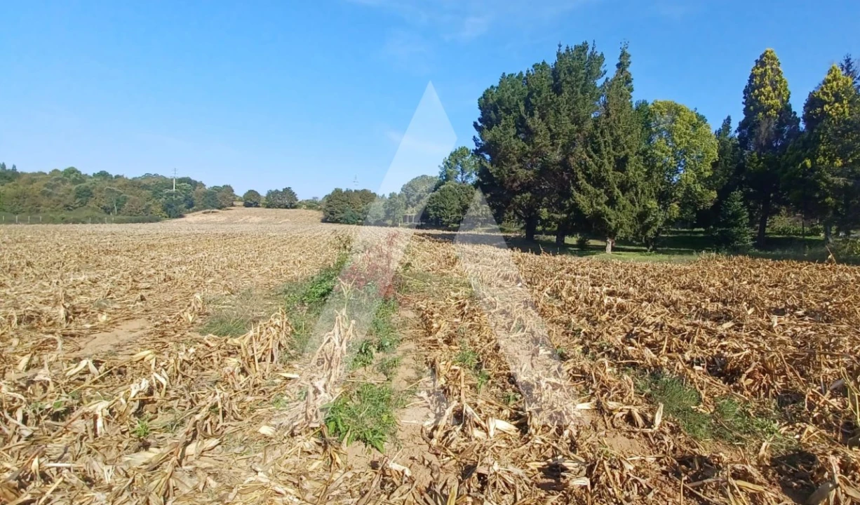 Terreno para Venda em Valongo do Vouga Foto 1