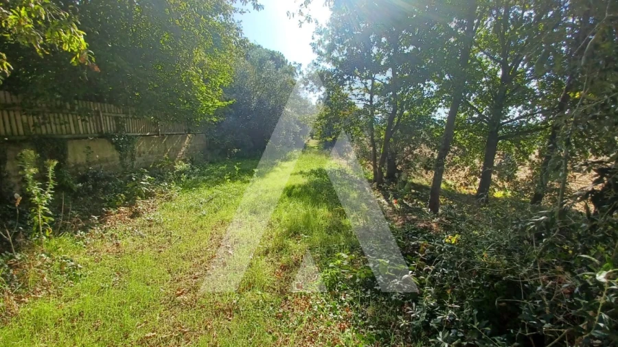 Terreno para Venda em Valongo do Vouga Foto 9