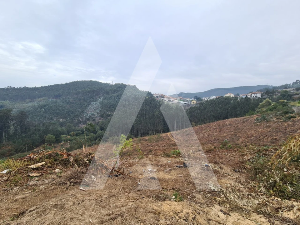 Terreno para Venda em São Pedro de Castelões Foto 5