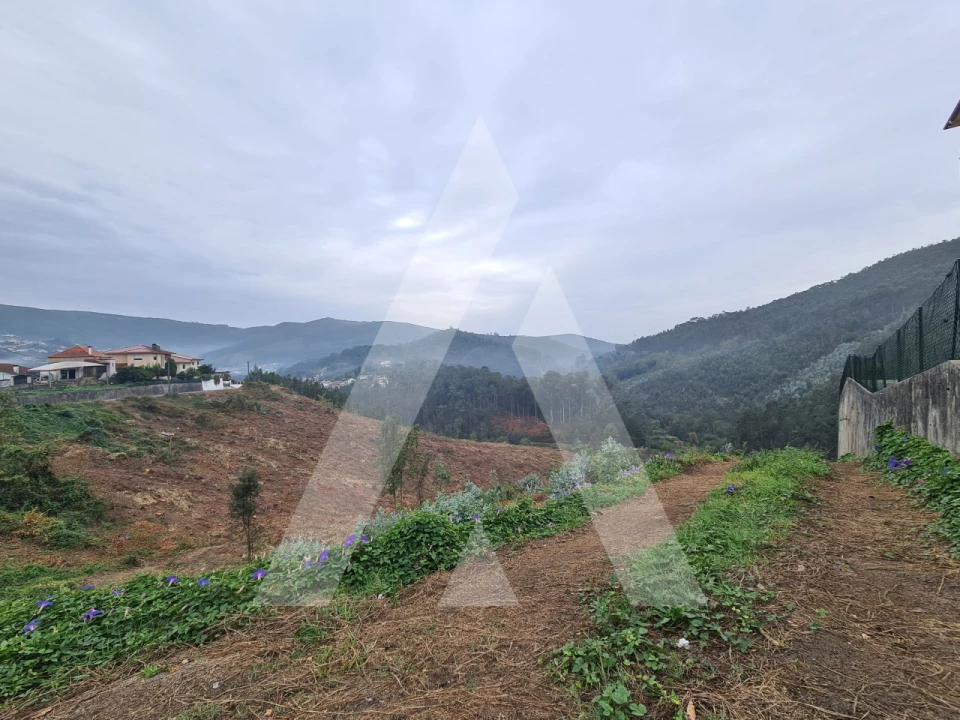 Terreno para Venda em São Pedro de Castelões Foto 8
