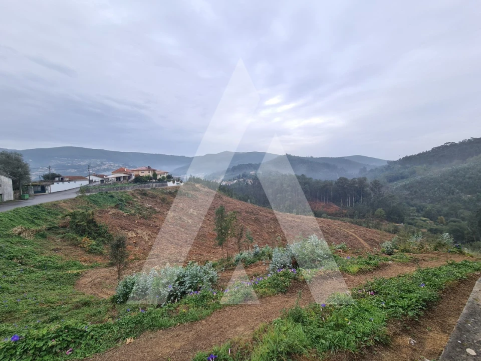 Terreno para Venda em São Pedro de Castelões Foto 4