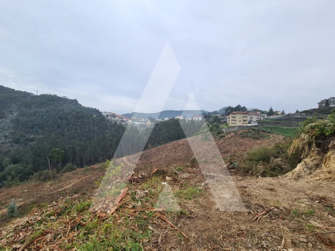 Terreno para Venda em São Pedro de Castelões Foto 2