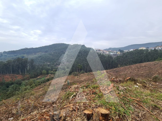 Terreno para Venda em São Pedro de Castelões Foto 7