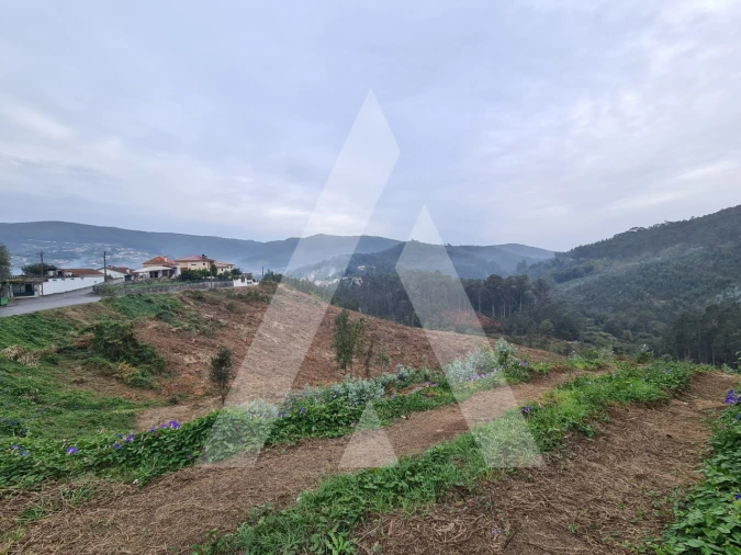 Terreno para Venda em São Pedro de Castelões Foto 3