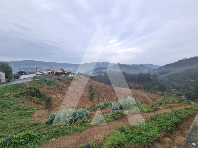 Terreno para Venda em São Pedro de Castelões Foto 4