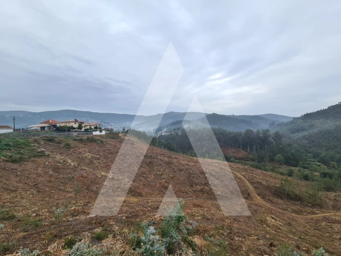 Terreno para Venda em São Pedro de Castelões Foto 9
