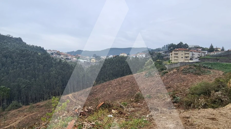 Terreno para Venda em São Pedro de Castelões
