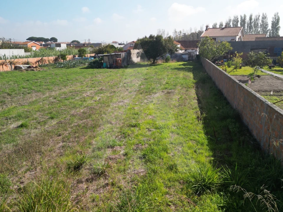 Terreno para Venda em Ílhavo (São Salvador) Foto 12