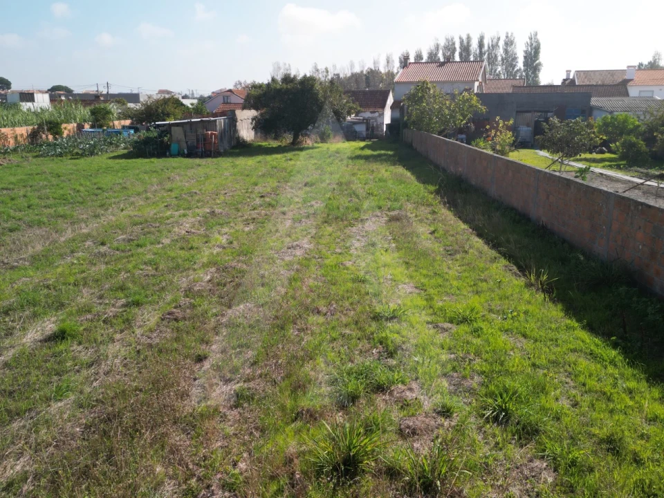Terreno para Venda em Ílhavo (São Salvador) Foto 13