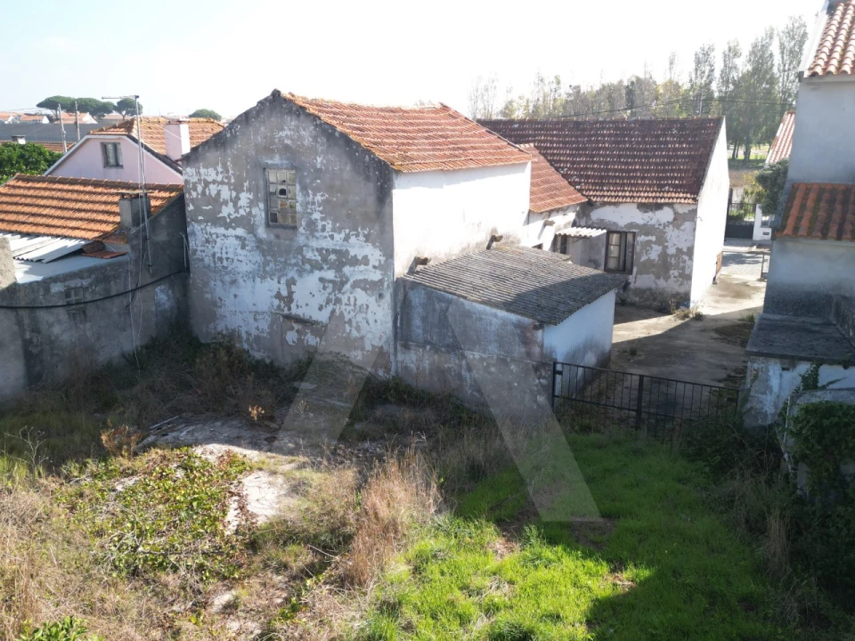 Terreno para Venda em Ílhavo (São Salvador) Foto 16