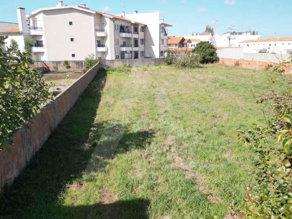 Terreno para Venda em Ílhavo (São Salvador) Foto 17