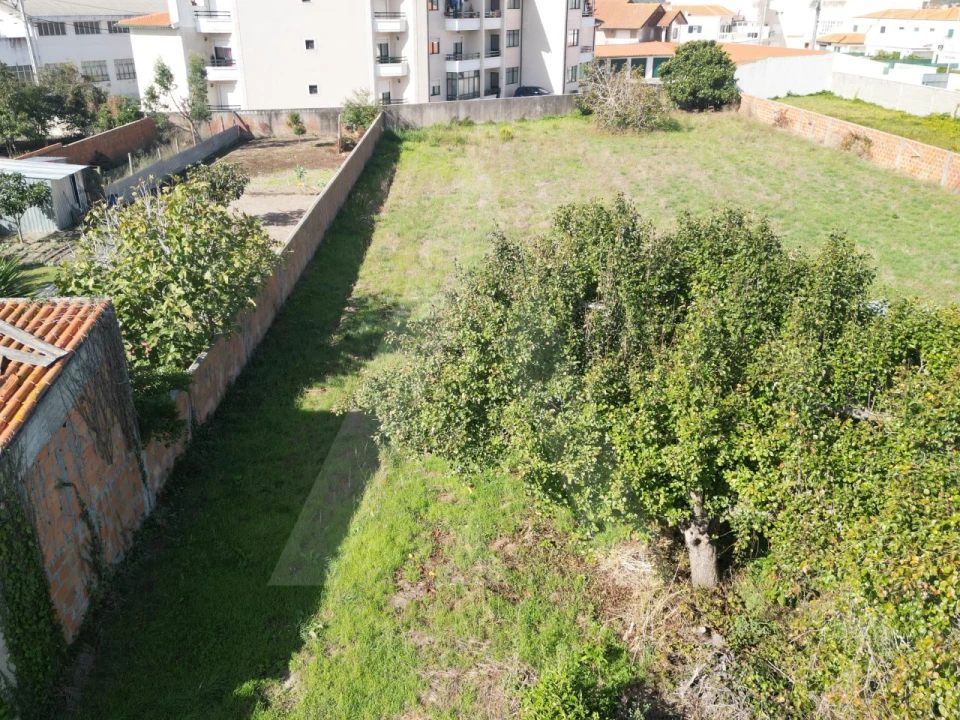 Terreno para Venda em Ílhavo (São Salvador) Foto 19