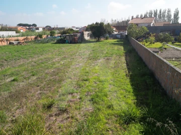 Terreno para Venda em Ílhavo (São Salvador)