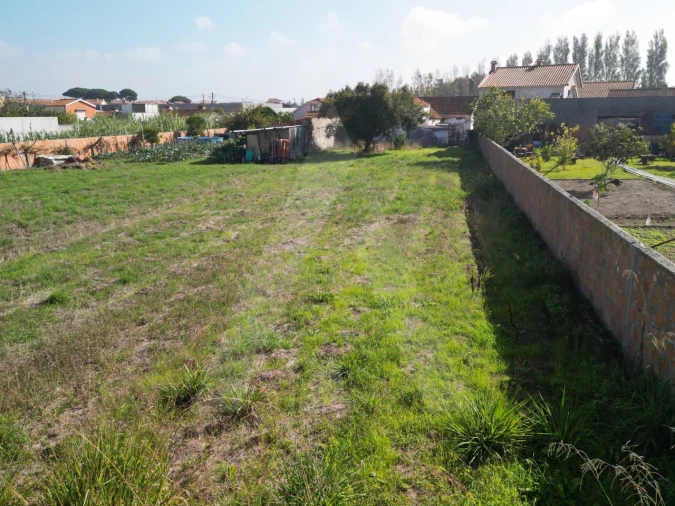 Terreno para Venda em Ílhavo (São Salvador) Foto 12
