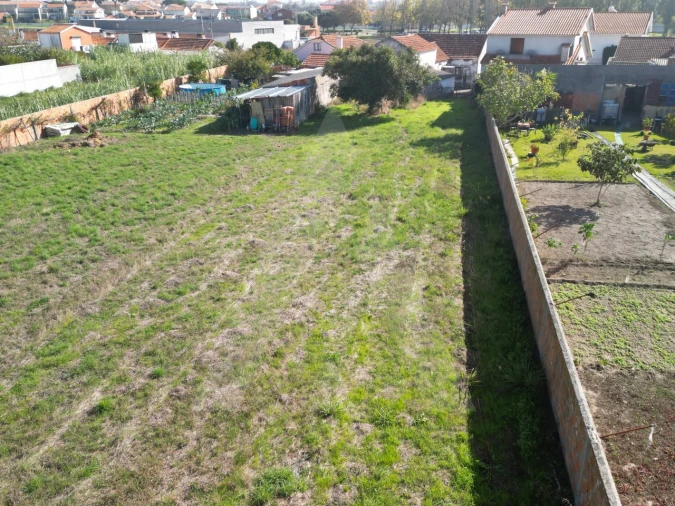 Terreno para Venda em Ílhavo (São Salvador) Foto 14