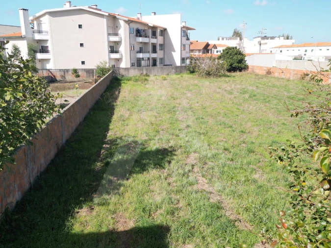 Terreno para Venda em Ílhavo (São Salvador) Foto 17