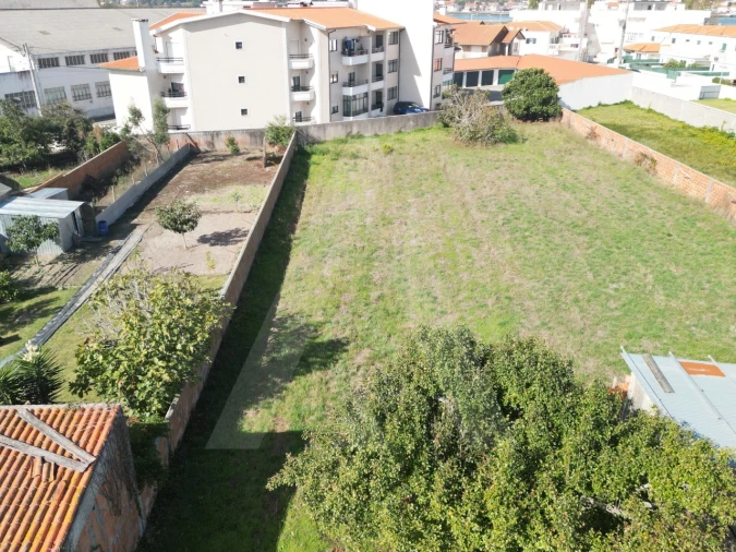 Terreno para Venda em Ílhavo (São Salvador) Foto 20